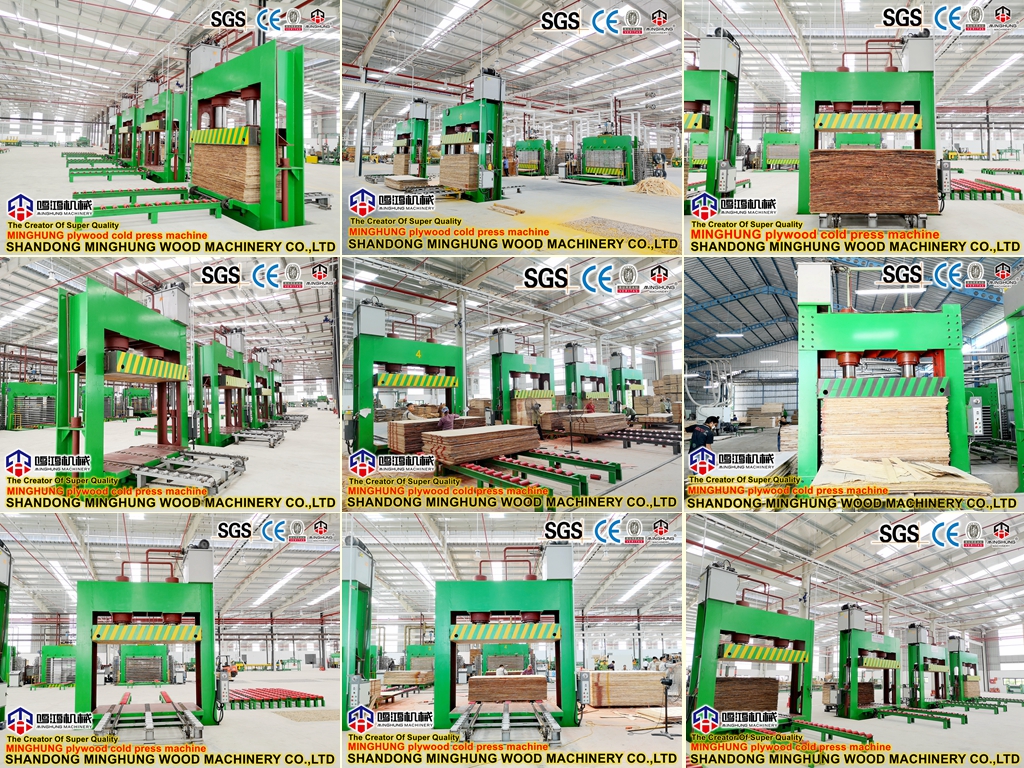 Lini Produksi Kayu Lapis China untuk Industri Produk Hutan Kertas Kayu