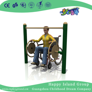 Behinderte Fitnessgeräte im Freien Tai Chi-Rad für Sport-Erholungstraining (HLD14-OFE01)
