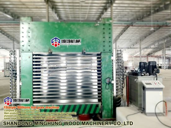 Proses Pembuatan Kayu Lapis di Pabrik Cina