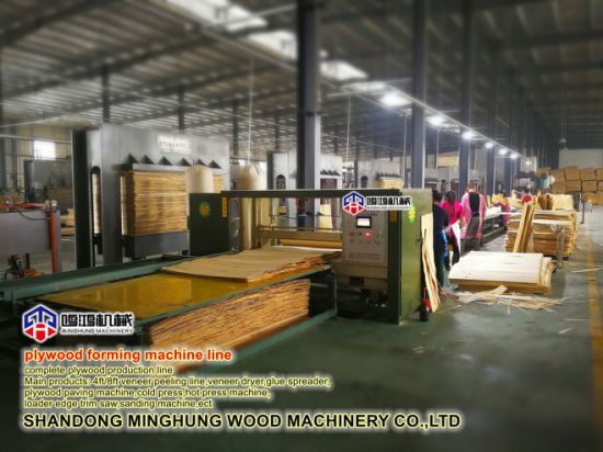 Mesin Pabrik Kayu Lapis di Cina