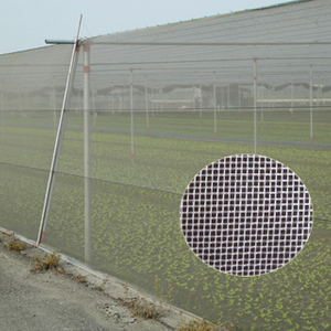 HDPE 140gsm transparent white color or other color Anti Insect Net