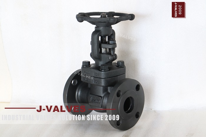 Flange Globe valves (2)
