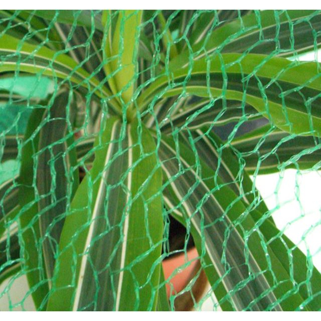 HDPE 8gsm 10X3M green color Anti Bird Net