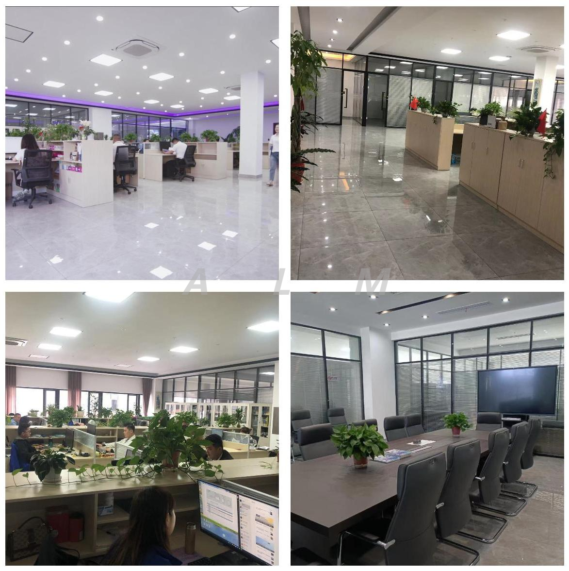 ALM office ALM office