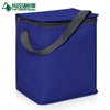 High Quality Customized Insulated Shoulder Lunch Travel Cooler Bag (TP-CB480)
