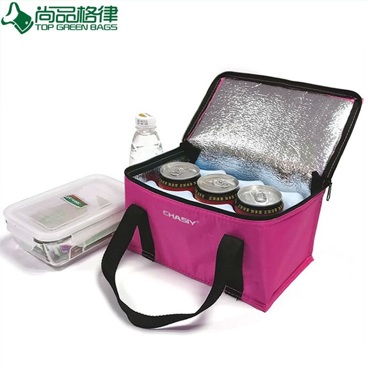 Customized 6 Pack Can Insulated Cooler Bag (TP-CB219)