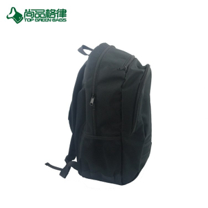 Customized Outdoor Waterproof Sports Travel Laptop Backpack Bag (TP-BP311)