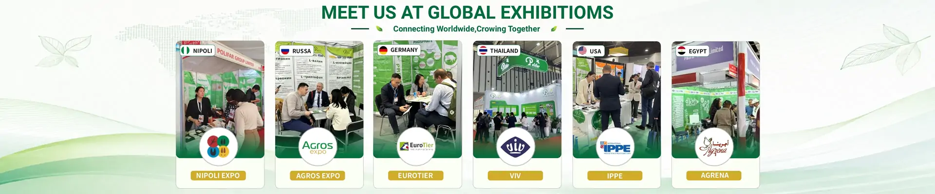 Trusted by Global Buyers