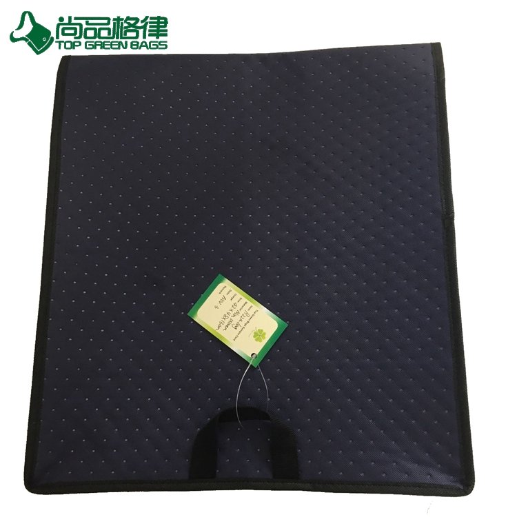 Wholesale Custom Non Woven Pizza Bag Hot Pizza Cooler Bag Tote (TP-PB055)