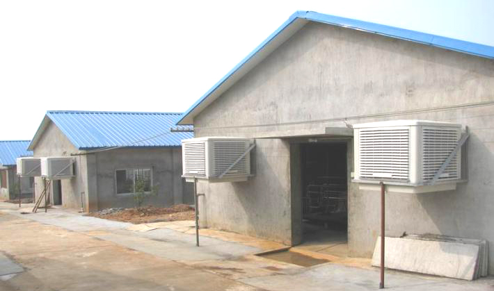 Greenhouse and chicken house used portable colored Evaporative Air cooler