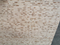 melamine Laminated Block Board 1220X2440mm