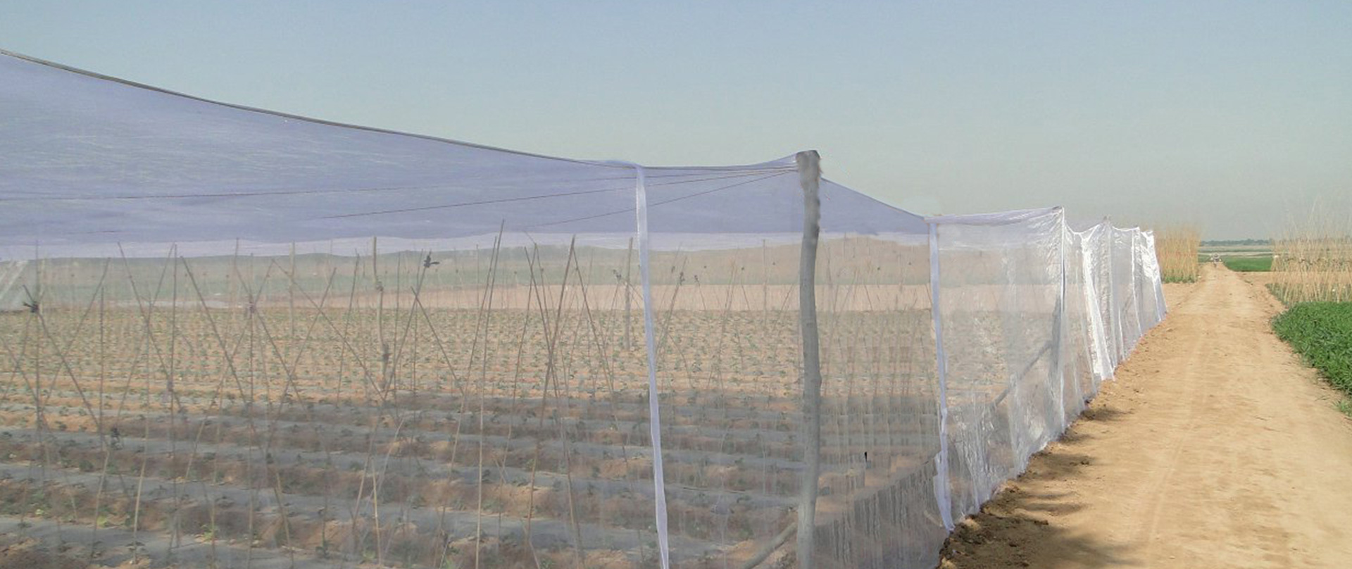 anti insect net, anti insect net exporters, anti insect net manufactures, anti insect net suppliers