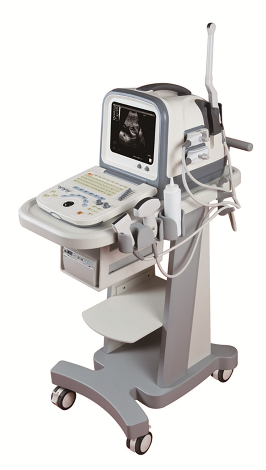 B-Ultrasound Scanner Machine (Model HY5522)