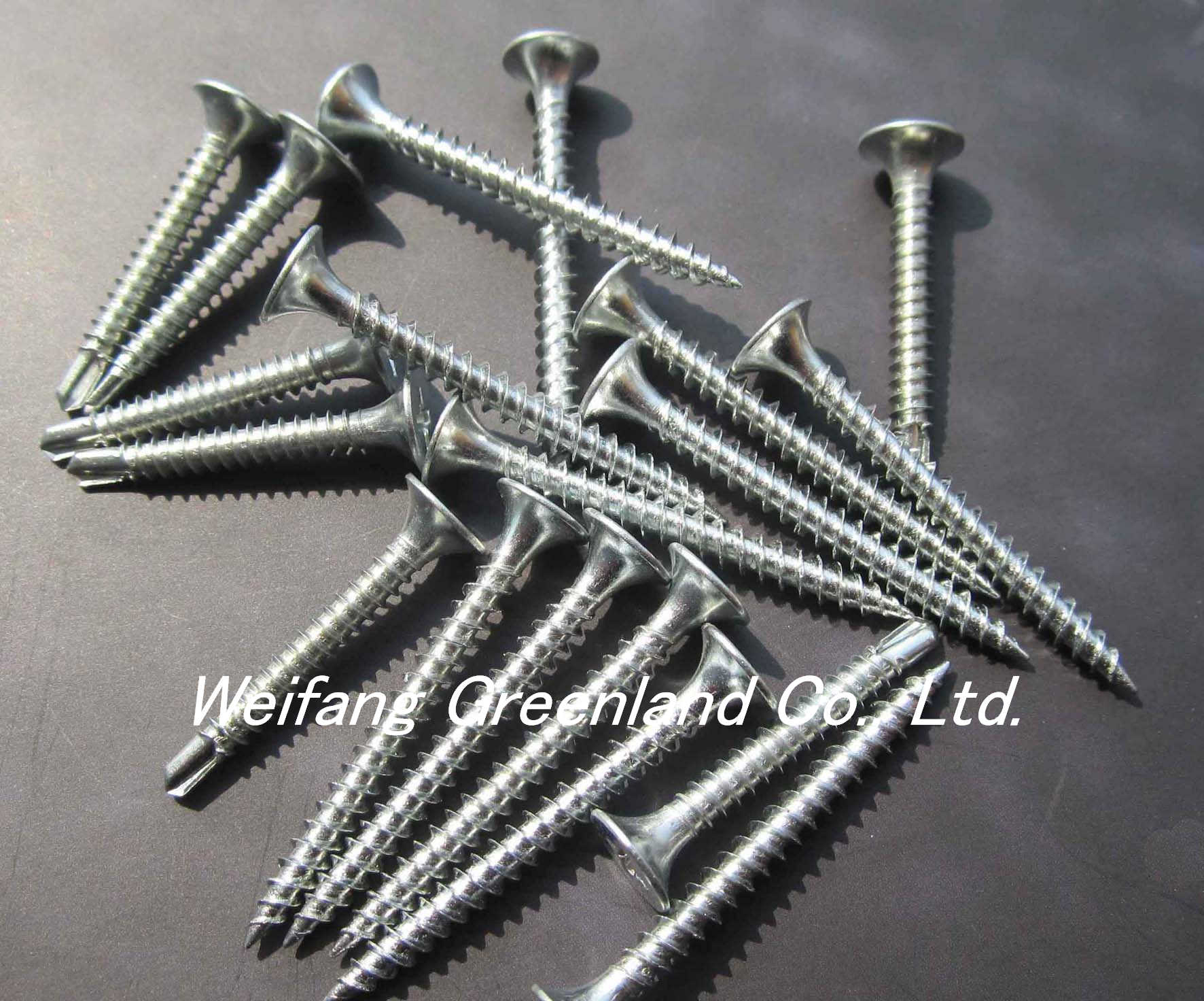 Self Driling Screw